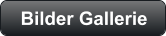 Bilder Gallerie